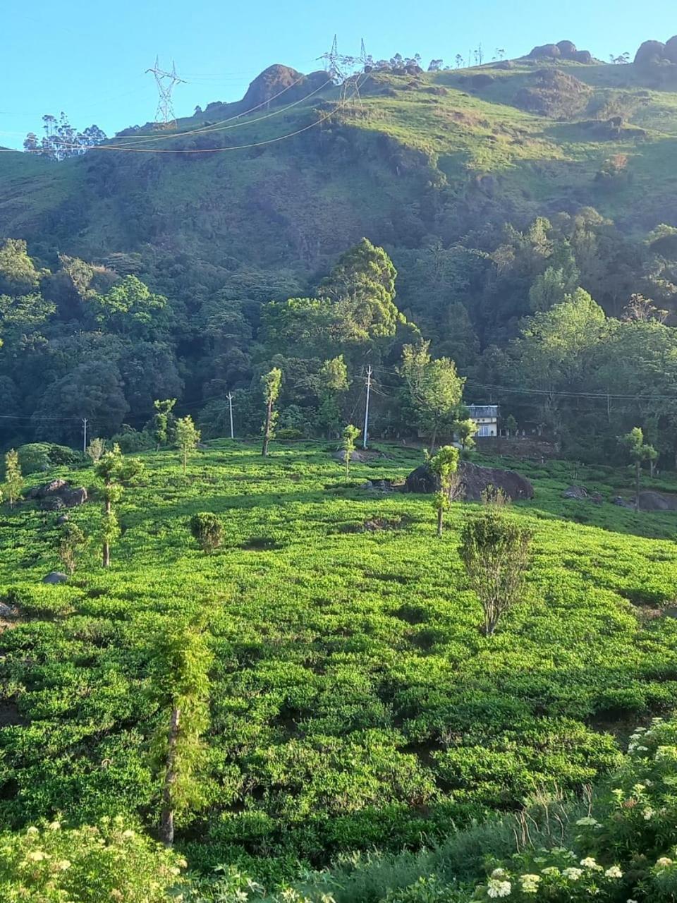 Tea Dale - All Rooms With Tea Estate View Munnar Quarto foto