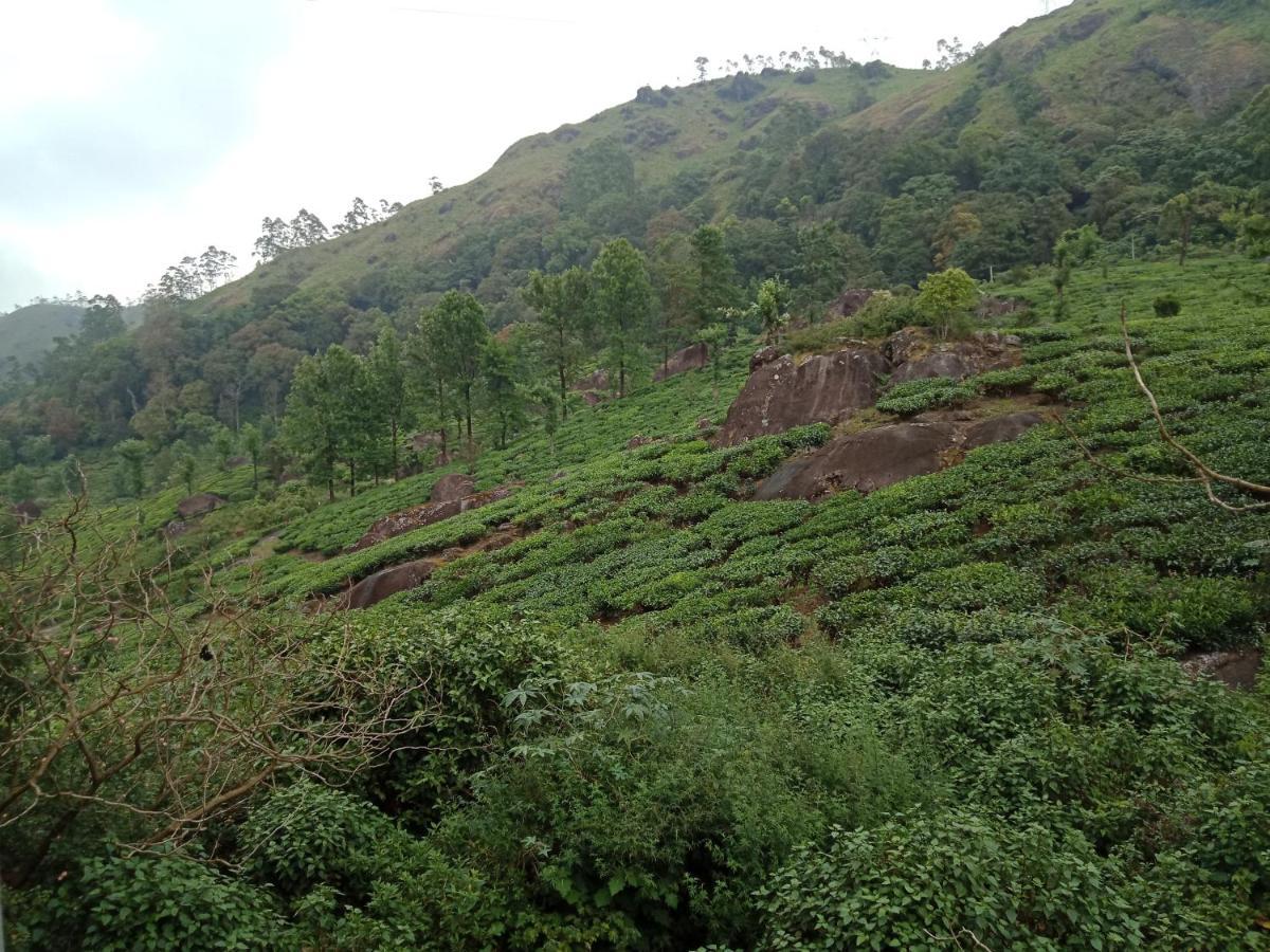 Tea Dale - All Rooms With Tea Estate View Munnar Exterior foto